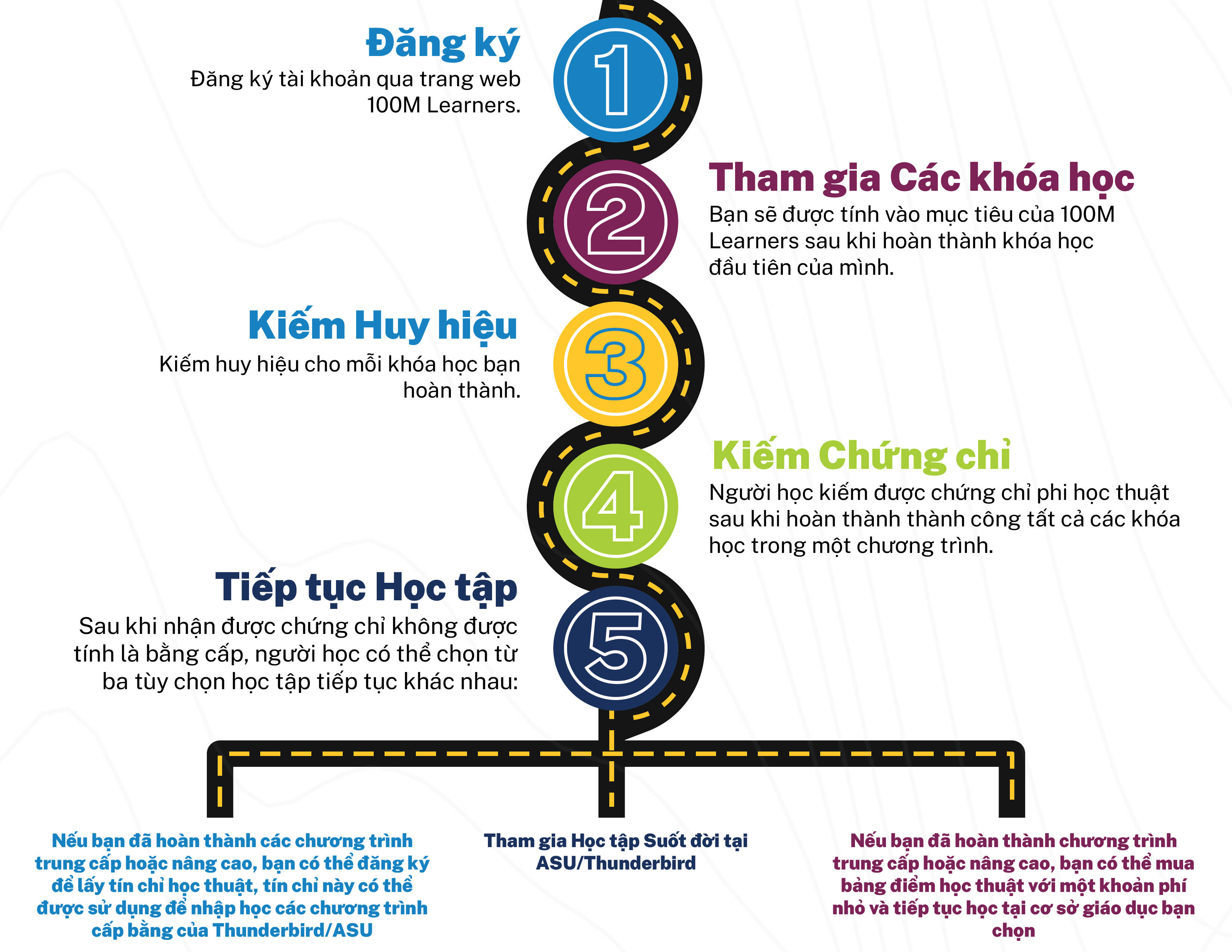 Graphic depicting the 5 steps of the 100ML process.