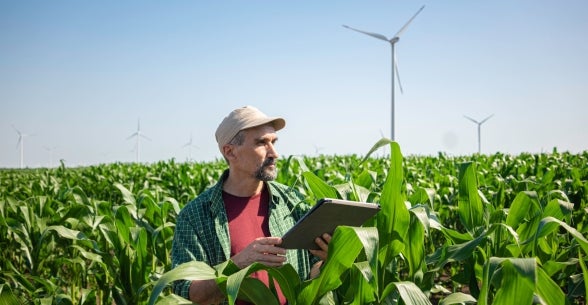 A farmer businessman oversees his crops with a tablet as wind turbines turn.