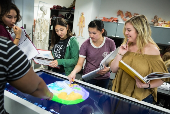 Image of K-12 students using a large touch screen table to learn about the skull